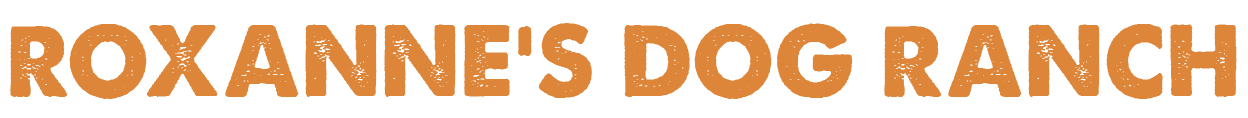 rdr-logo rdr-logo