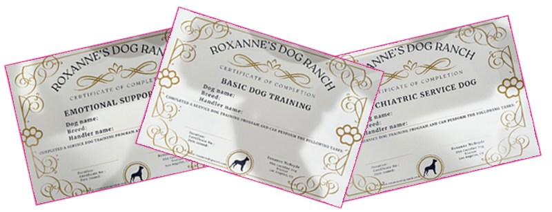rdr-certificates